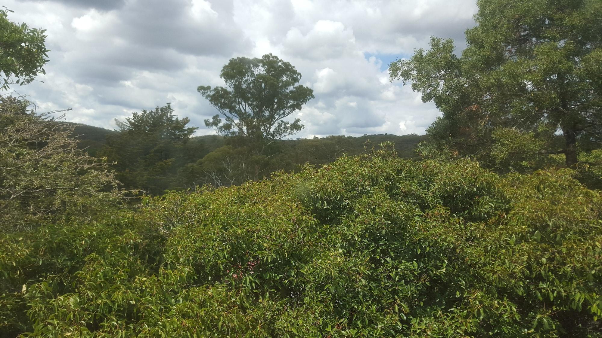 Hepburn Springs Motor Inn Bagian luar foto