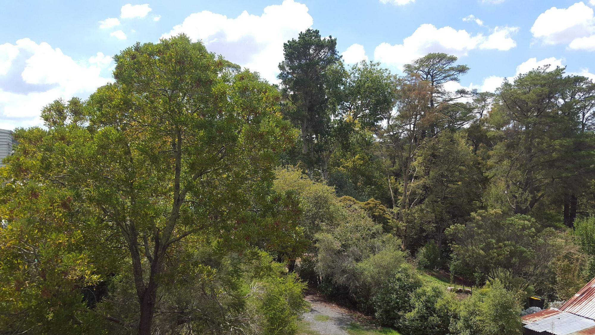 Hepburn Springs Motor Inn Bagian luar foto